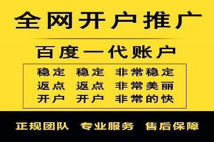 竞价端口开户全攻略，案例分析