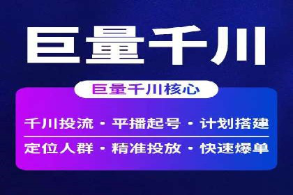 SEM竞价实战：成功案例解析